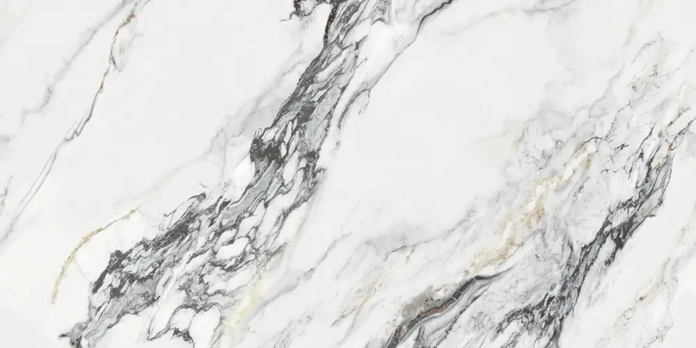 White marble slab with dramatic gray and black veining, close-up